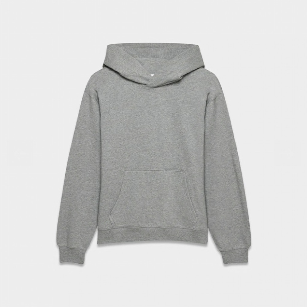 ARITZIA Terry Sweatfleece Perfect Hoodie